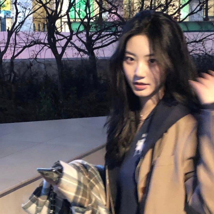 奔月